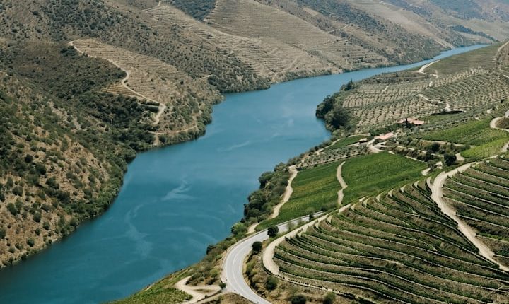 The Douro River winding through terraced vineyards in Portugal's wine country